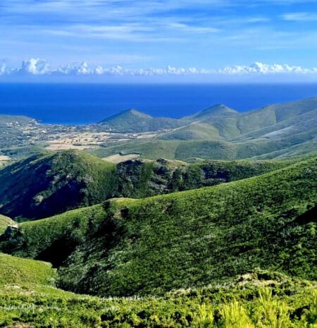 Le printemps dans le Cap Corse